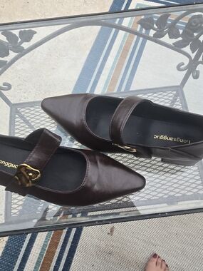 Longguo Dark Brown Pointed Mary Jane Flats
